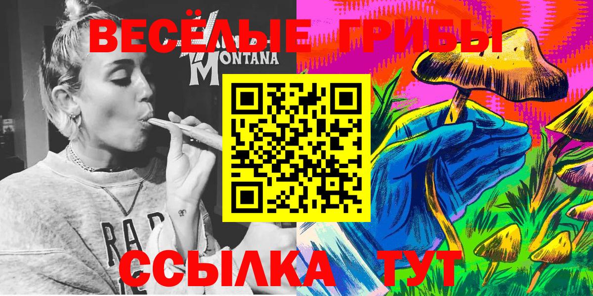 Псилоцибиновые грибы прущие грибы Дальнереченск